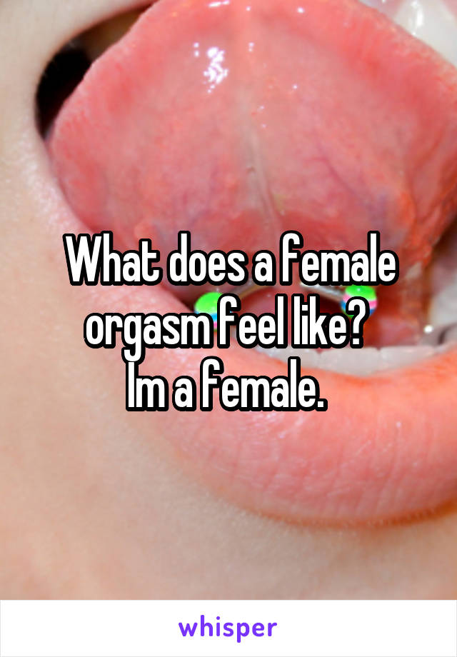 What Does Orgasim Feel Like